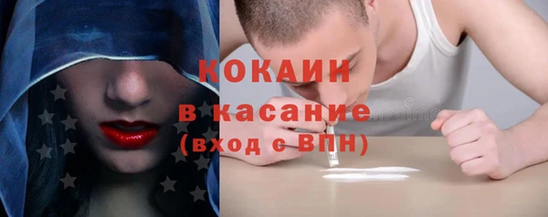 прущие грибы Верея